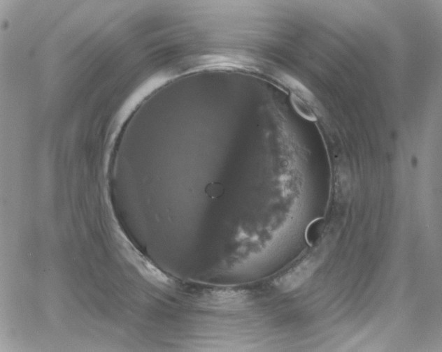 X0000062141427200512091203