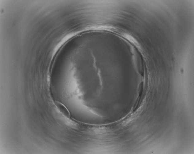 X0000062141428200512091203