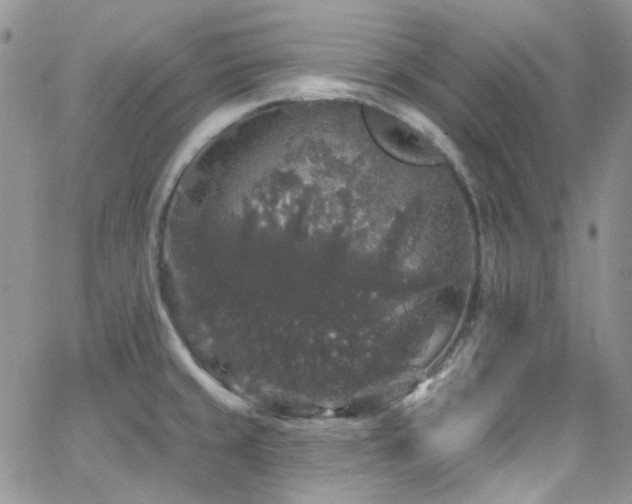 X0000062141429200512091204