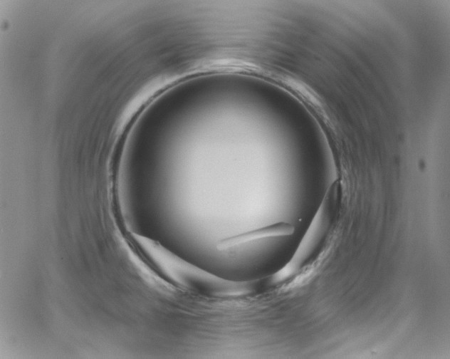 X0000062141430200512091204