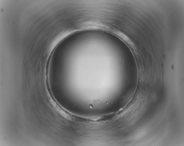 X0000062141431200512091204