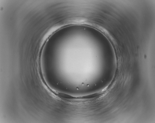 X0000062141432200512091204