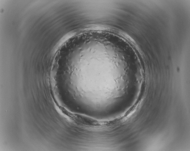 X0000062141433200512091204