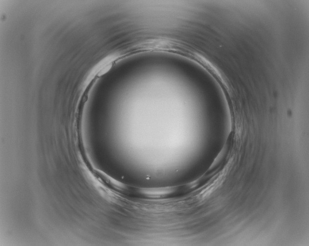 X0000062141434200512091204