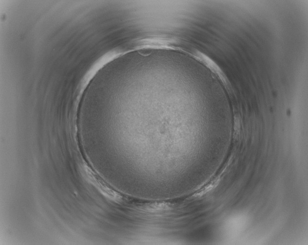 X0000062141435200512091204