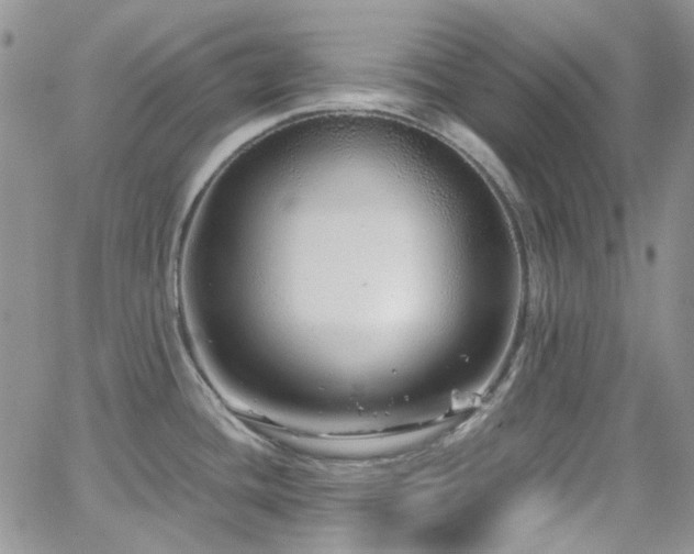 X0000062141436200512091204