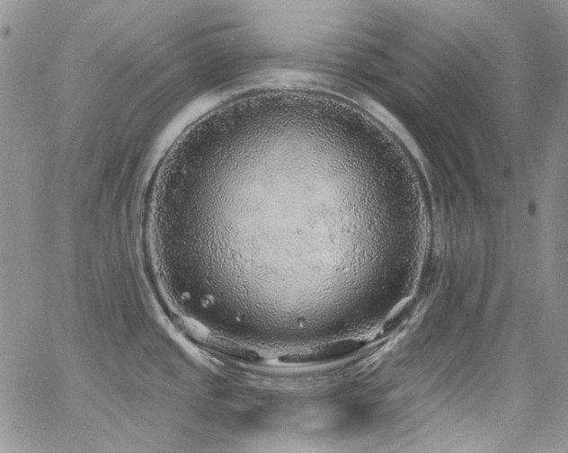 X0000062141437200512091204