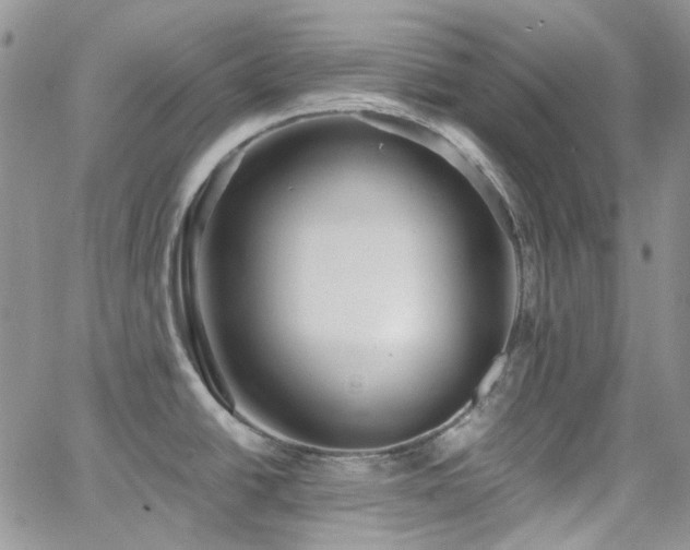 X0000062141438200512091204