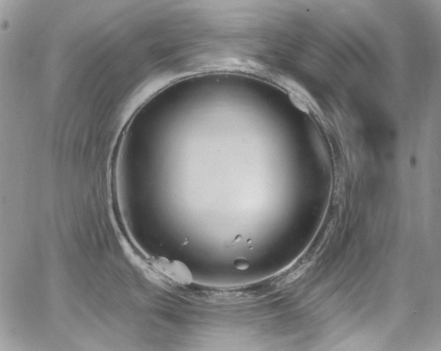 X0000062141439200512091204