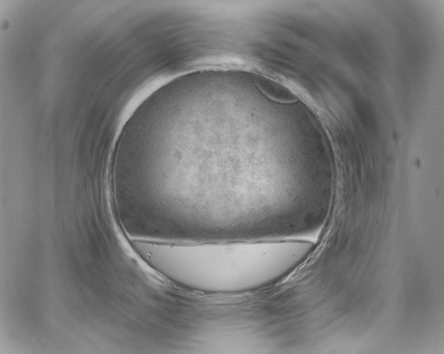 X0000062141440200512091204