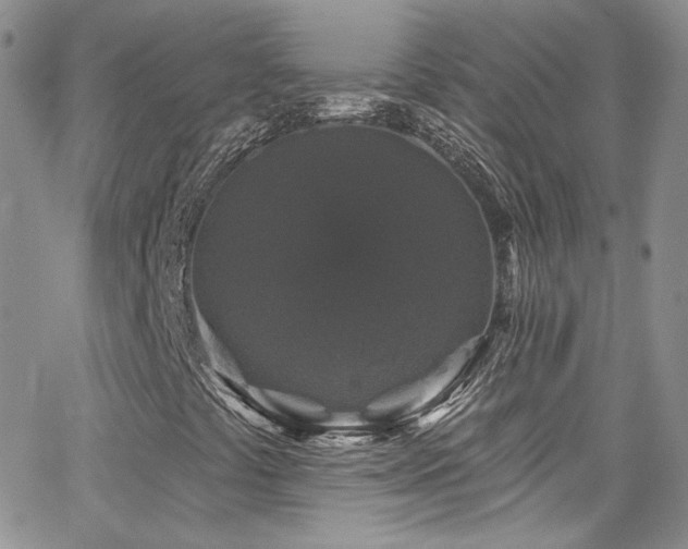 X0000062141441200512091203