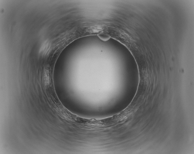 X0000062141442200512091203