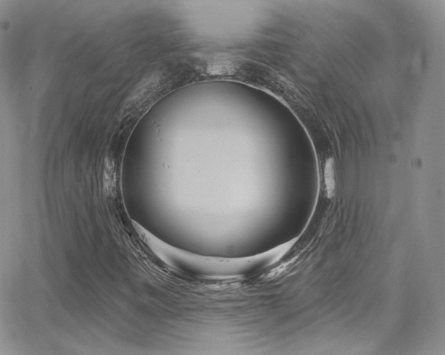 X0000062141443200512091203