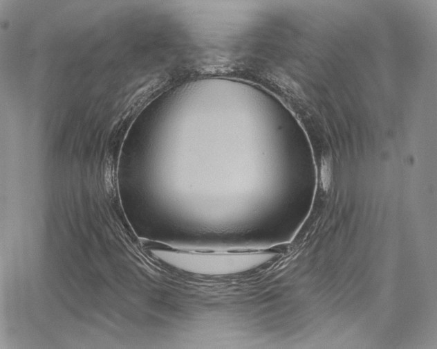 X0000062141444200512091203