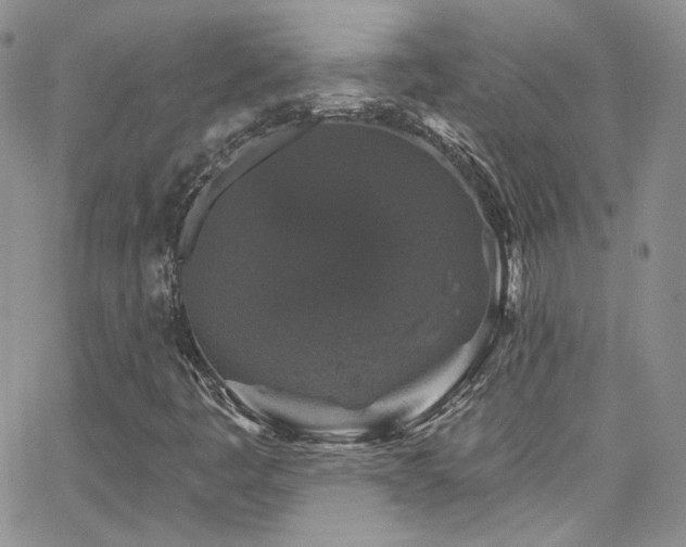 X0000062141445200512091203