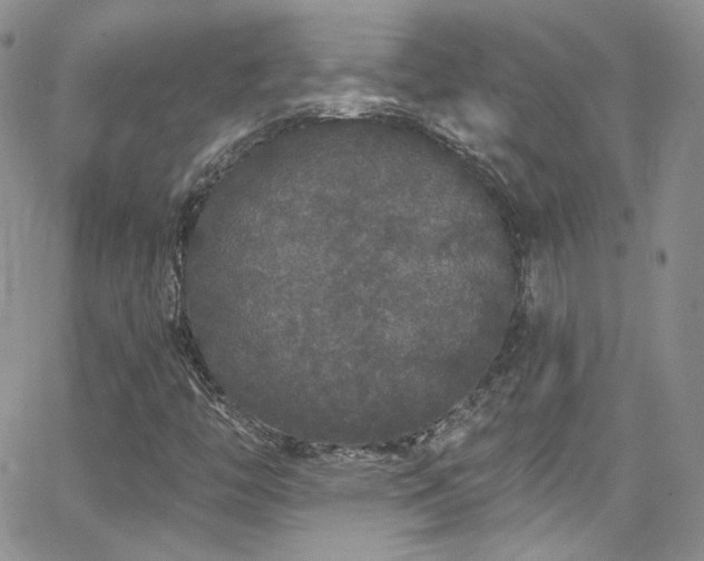 X0000062141446200512091203