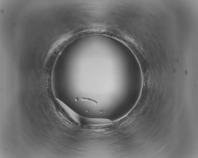 X0000062141448200512091203