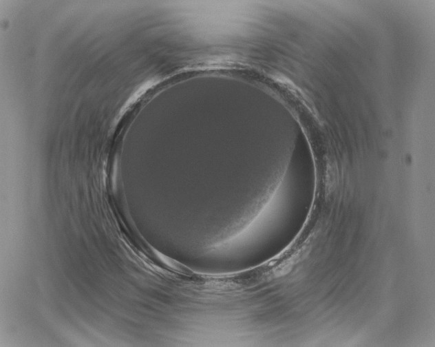 X0000062141449200512091203