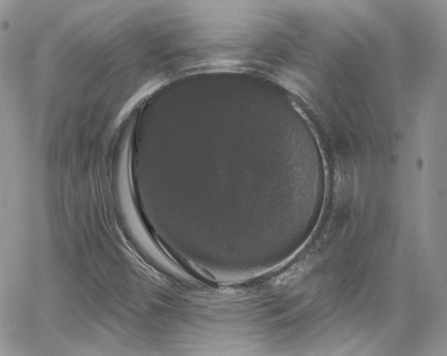 X0000062141450200512091203