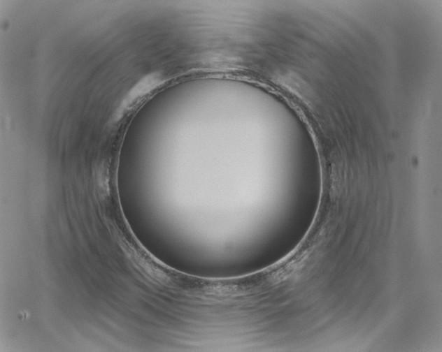 X0000062141451200512091203