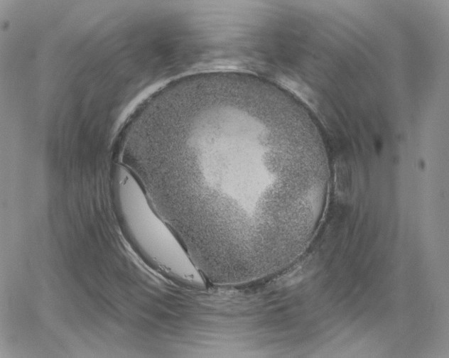 X0000062141452200512091203