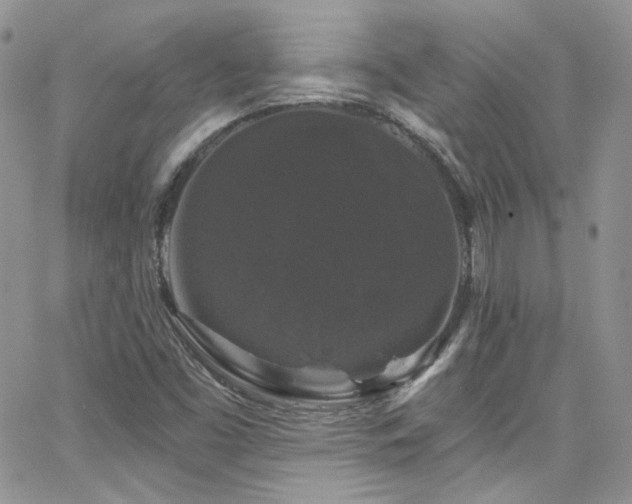 X0000062141453200512091203