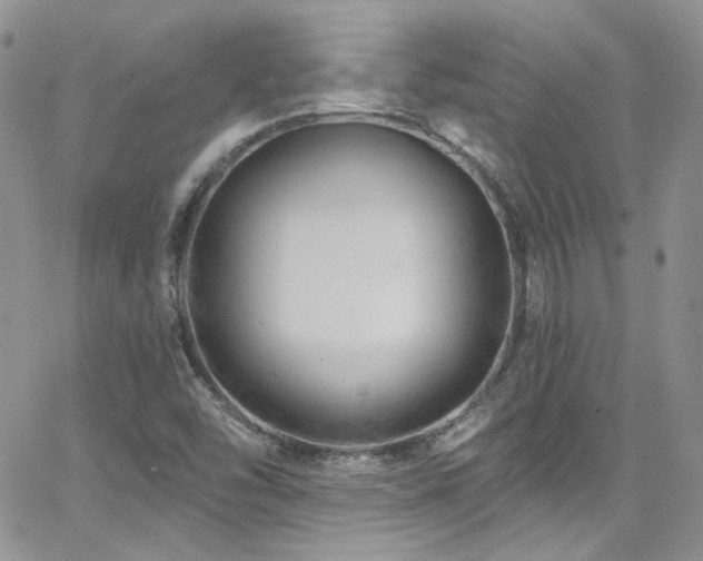 X0000062141454200512091203