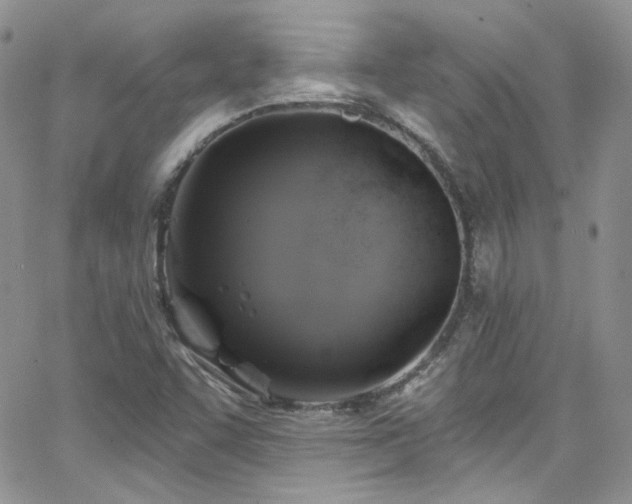 X0000062141455200512091203