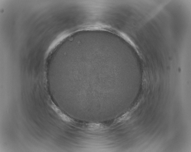 X0000062141456200512091203