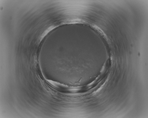 X0000062141457200512091203