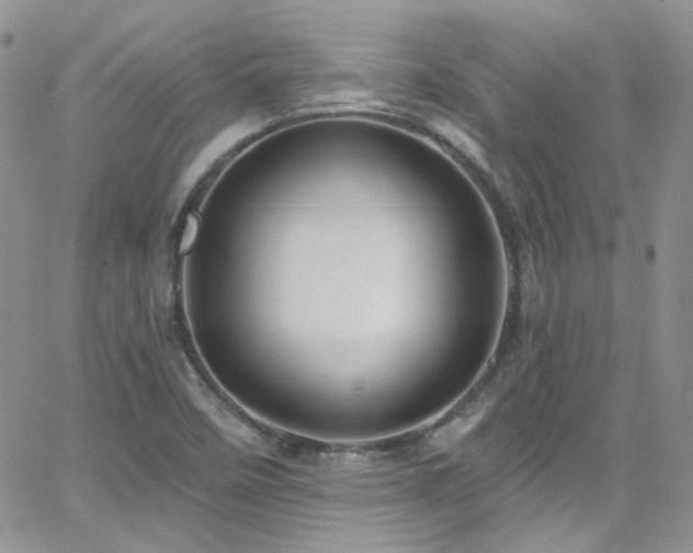 X0000062141458200512091203