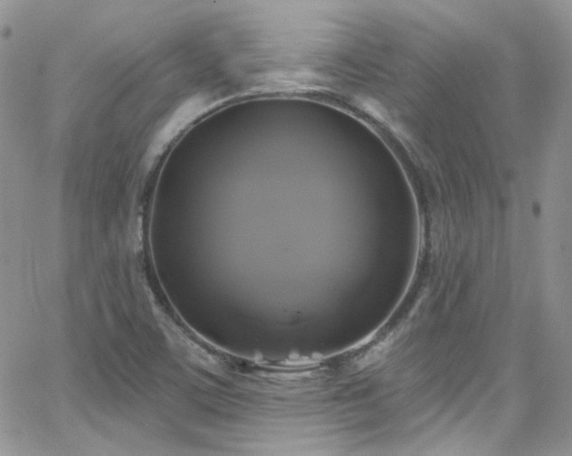 X0000062141459200512091203