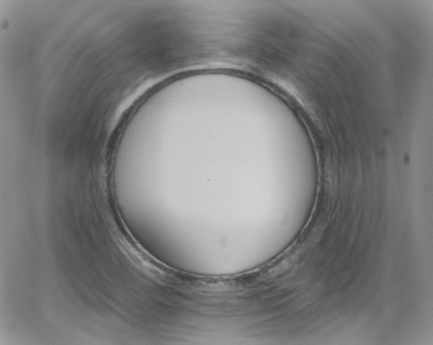 X0000062141460200512091203