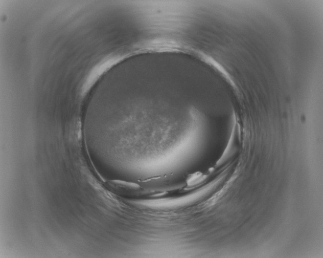 X0000062141461200512091203