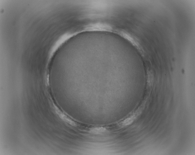 X0000062141462200512091203