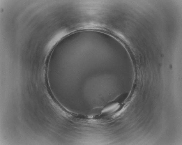 X0000062141463200512091203