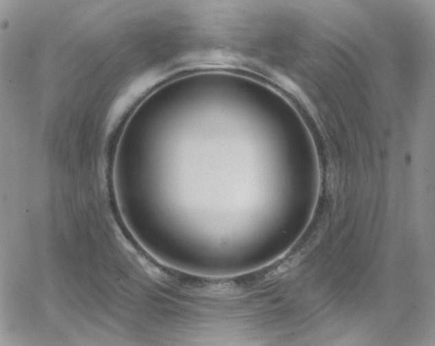 X0000062141464200512091203