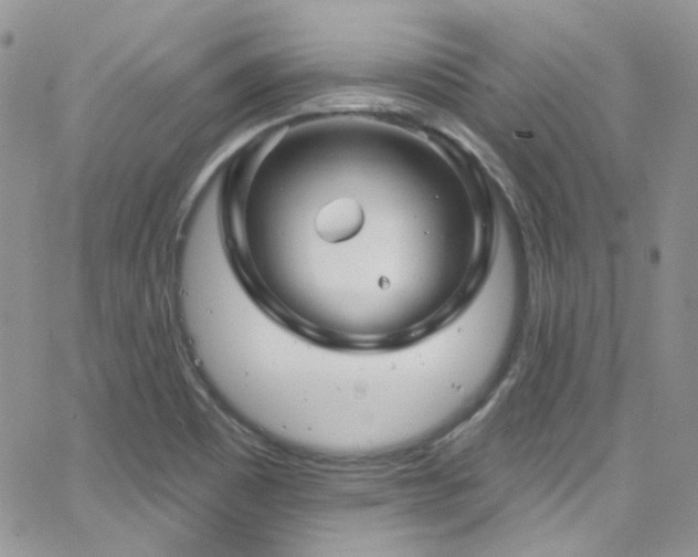 X0000062141465200512091203