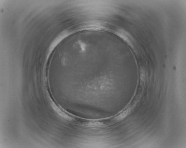 X0000062141466200512091202