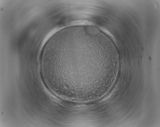 X0000062141467200512091202