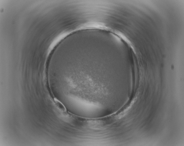 X0000062141469200512091202