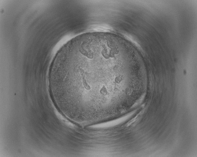 X0000062141471200512091202