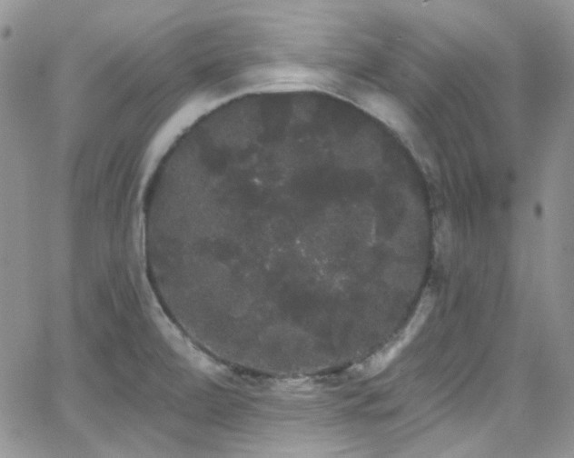 X0000062141472200512091202