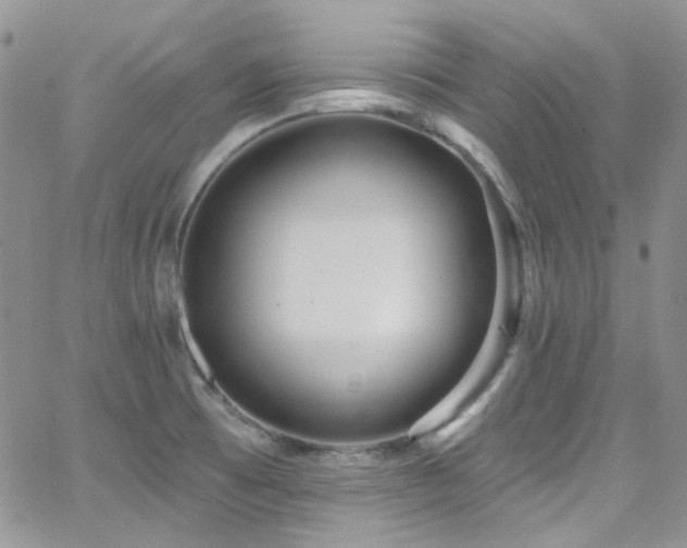 X0000062141473200512091202