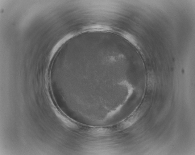 X0000062141474200512091202