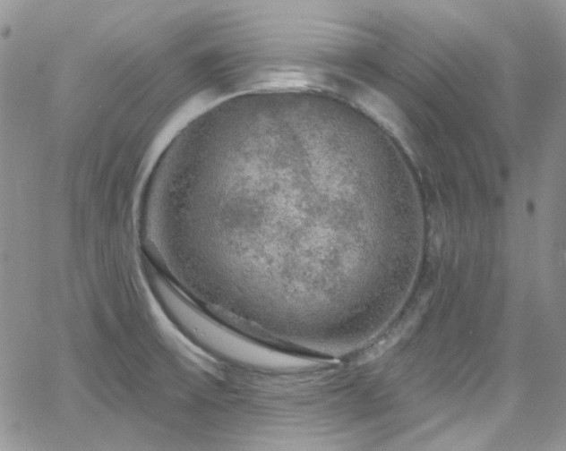 X0000062141475200512091202