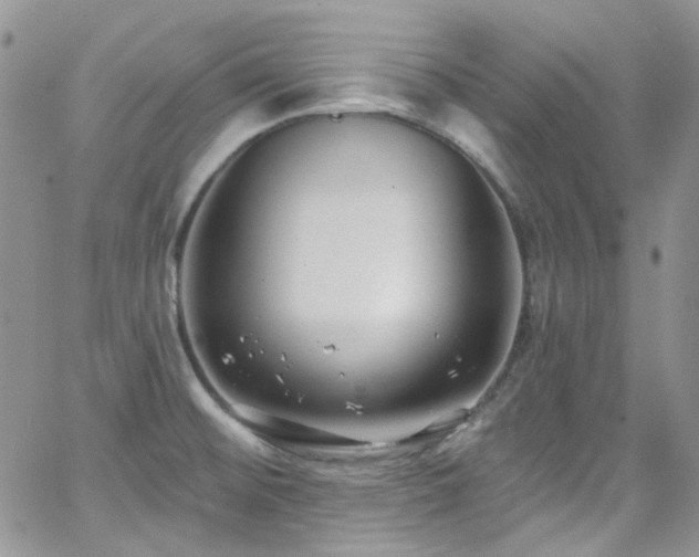 X0000062141476200512091202