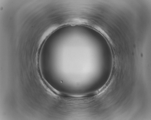 X0000062141477200512091202