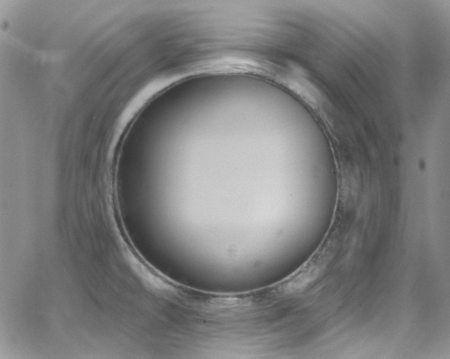 X0000062141478200512091202