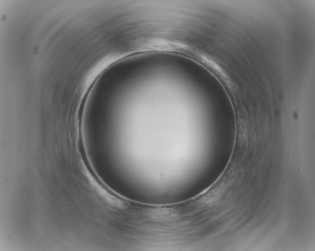 X0000062141479200512091202